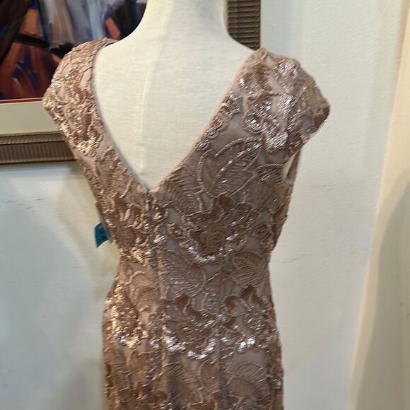 NWT Alex Evenings Champagne Lace Sequin Dress 6 - Picture 10 of 12